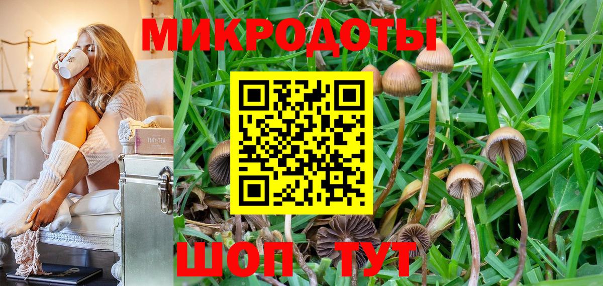 Морозовск  Псилоцибиновые грибы Cubensis  Вход с VPN 